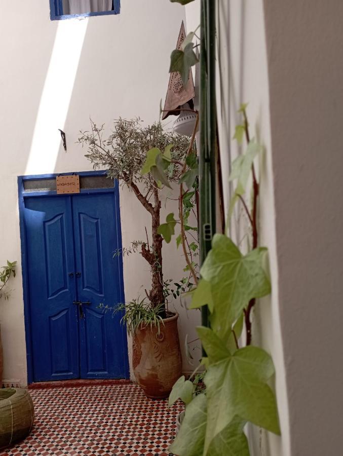 מרקש Riad Dar Lfonoun מראה חיצוני תמונה